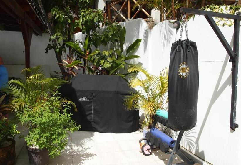 Casa Vitality Bed And Breakfast   Playa Guiones, Nosara   4 Minute Walk To The Beach