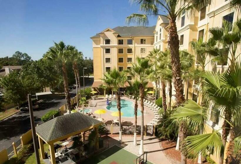 Great Condo Incredible Location