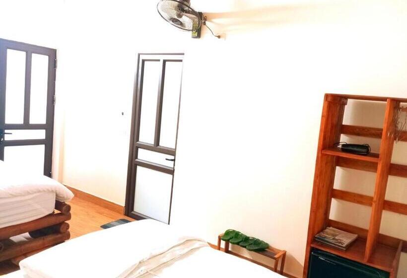 هتل Downtown Backpacker Hostel