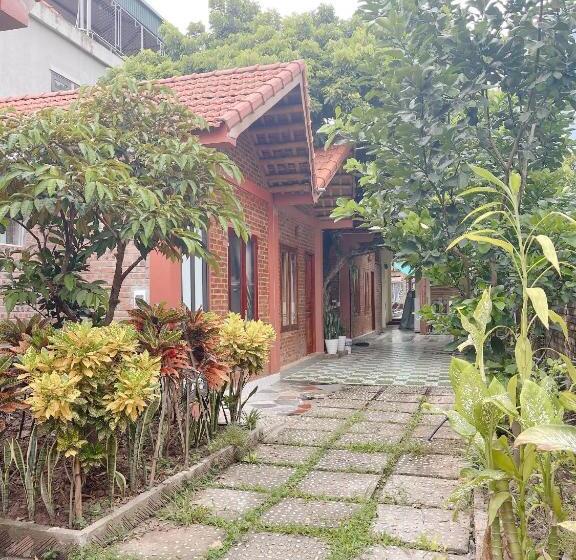 هتل Downtown Backpacker Hostel