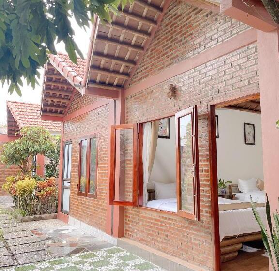 هتل Downtown Backpacker Hostel