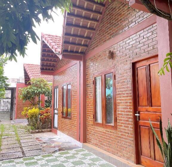 هتل Downtown Backpacker Hostel