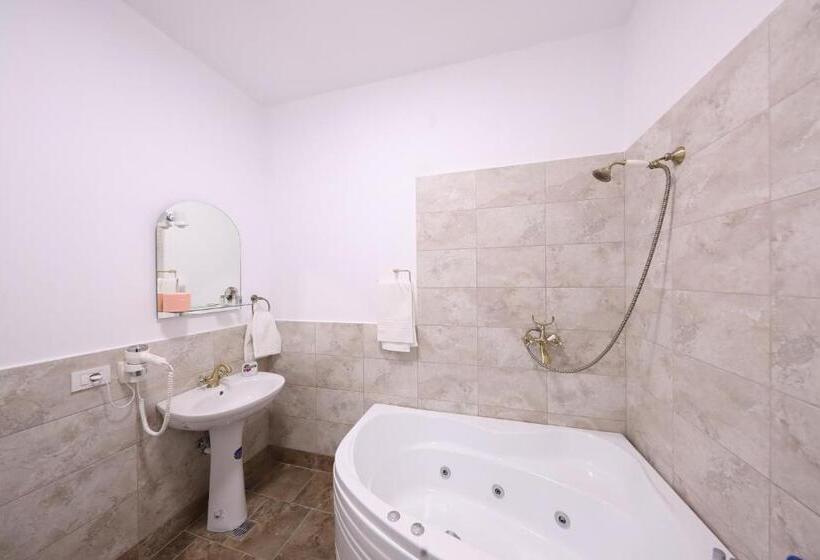 膳宿费 Casa Cojocaru