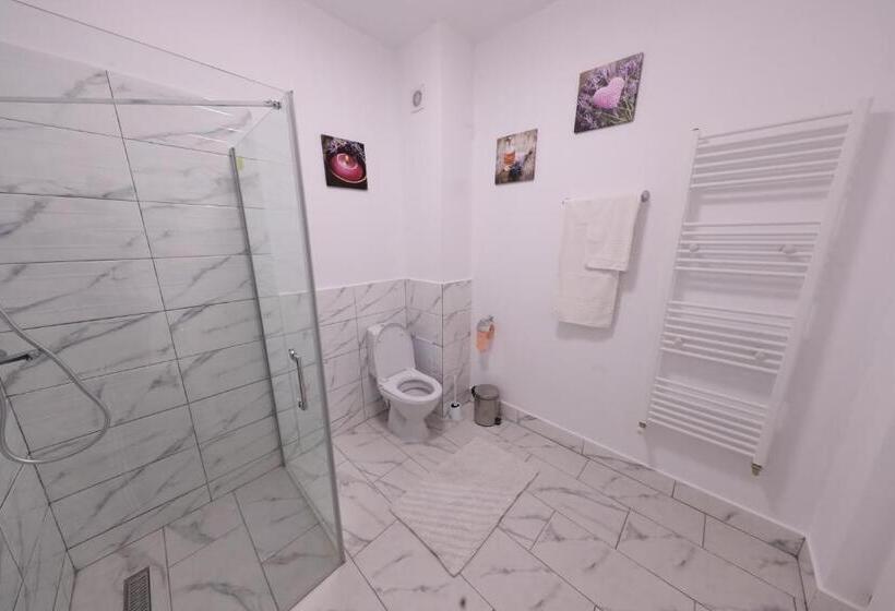 膳宿费 Casa Cojocaru