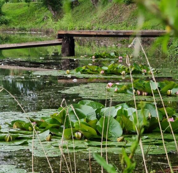 פנסיון La Balta Aiud