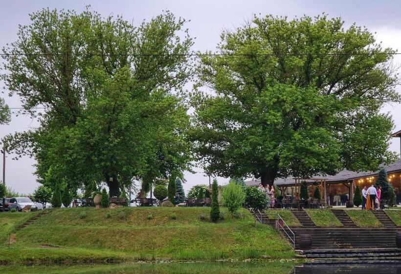 פנסיון La Balta Aiud