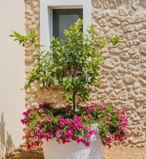 Bed and Breakfast Giallo Ficodindia