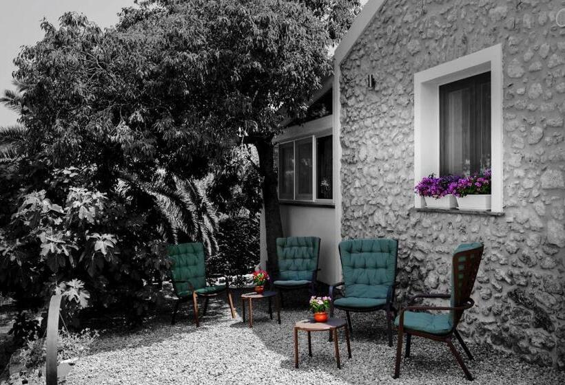 住宿加早餐  Giallo Ficodindia