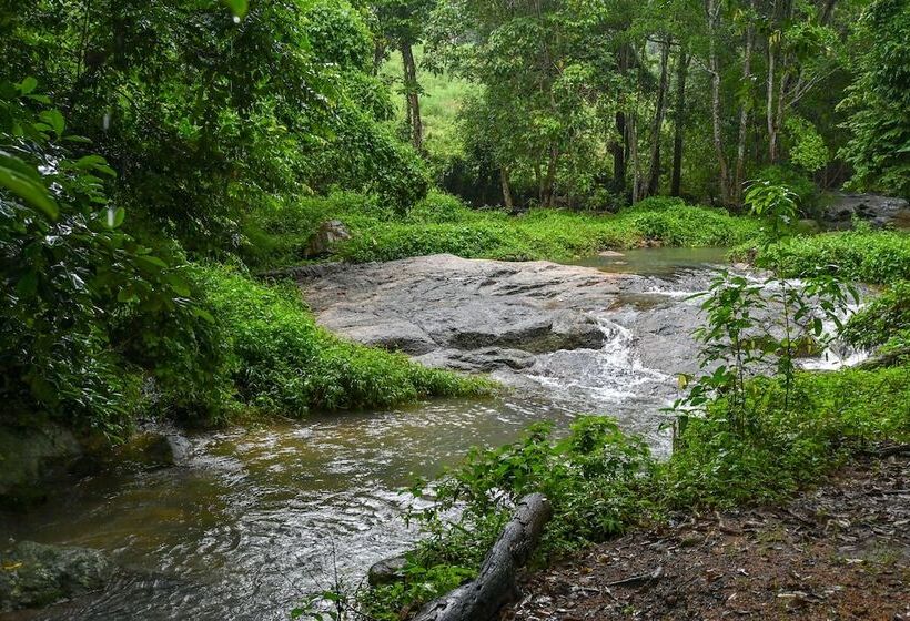 בית מלון כפרי Cascade Tara