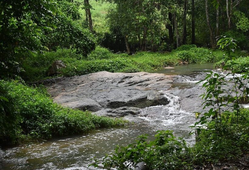 فندق Cascade Tara