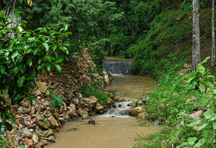 فندق Cascade Tara