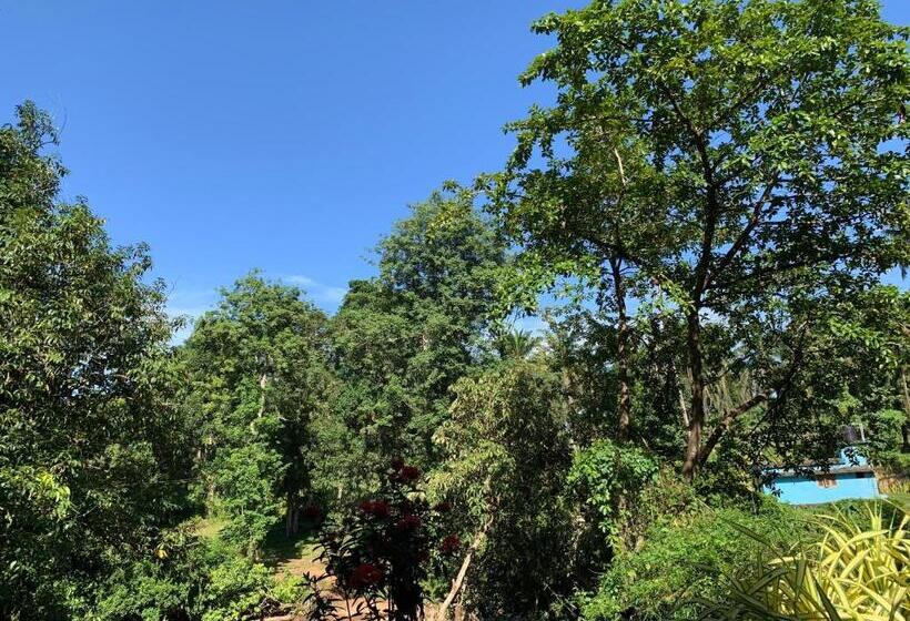 פנסיון Athirapilly On The Rocks