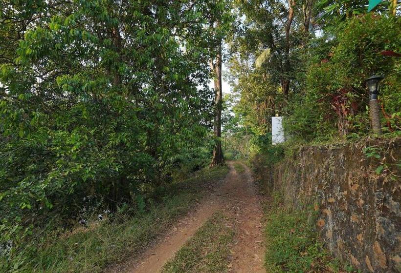 פנסיון Athirapilly On The Rocks