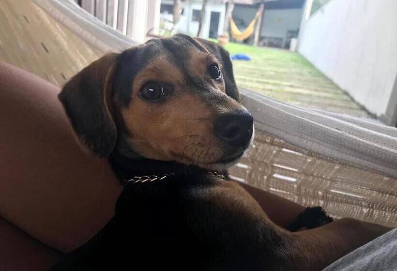 膳宿费 Casa Da Mariajuana Hostel Tabatinga