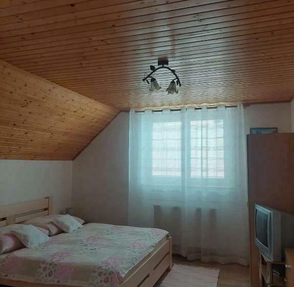 بنسيون Penzión U Janosika