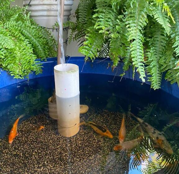 פנסיון Thematic Pousada