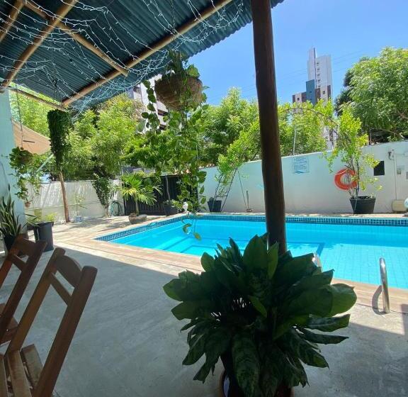 פנסיון Thematic Pousada