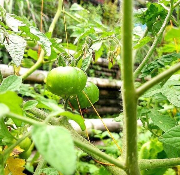 호스텔 Posada Turística La Ceiba