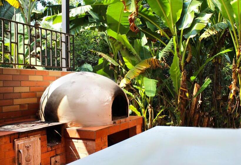 Finca Hotel Villa Gladys En Mesitas Del Colegio