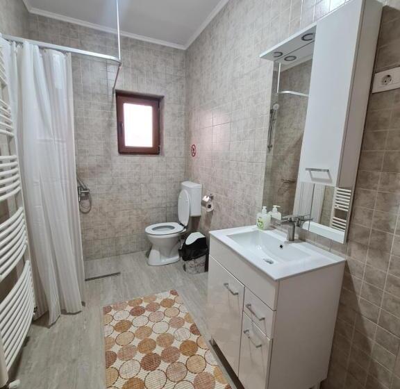 בית מלון כפרי Agropensiunea Maya Andrei