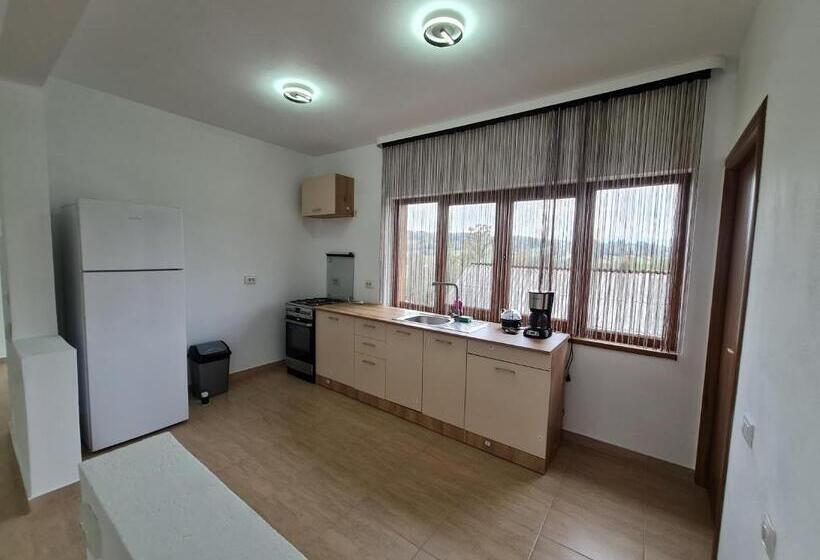 בית מלון כפרי Agropensiunea Maya Andrei