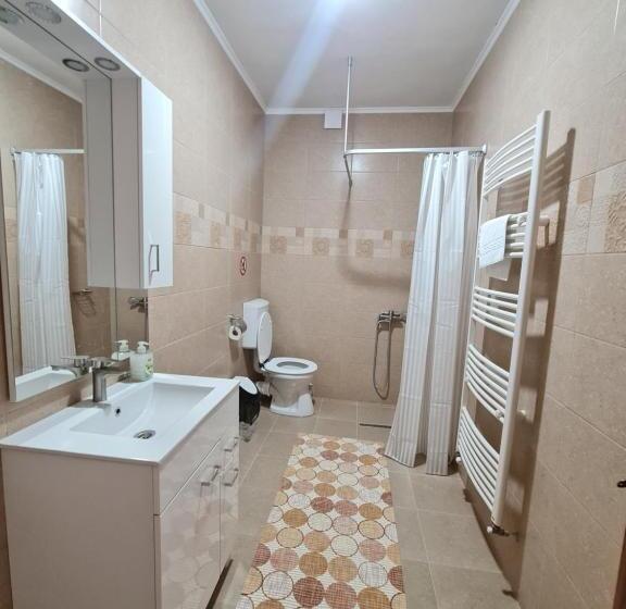 בית מלון כפרי Agropensiunea Maya Andrei