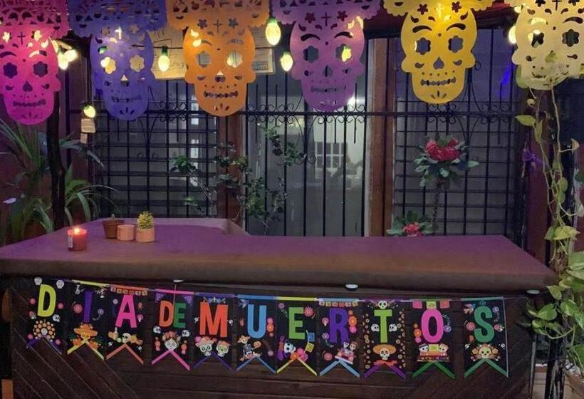 ホテル Casa Terracota