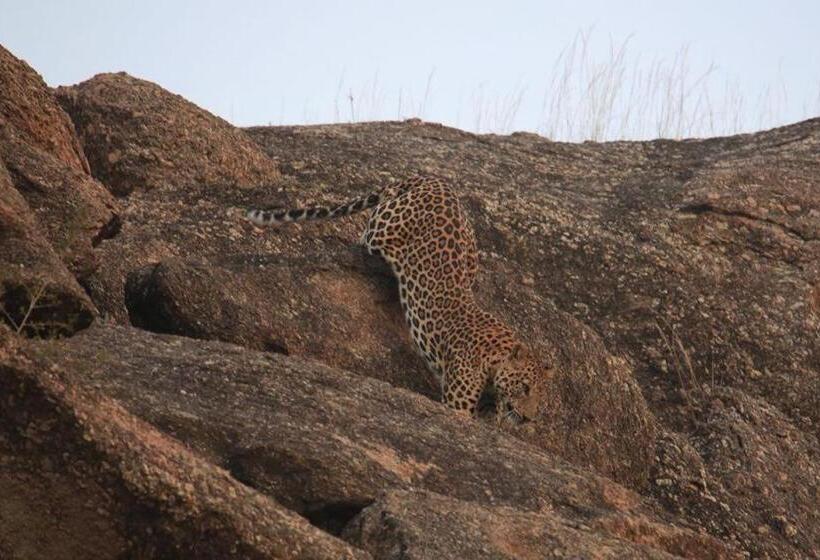 فندق Pride Resort & Convention Center Ranakpur Near Ranakpur Dam