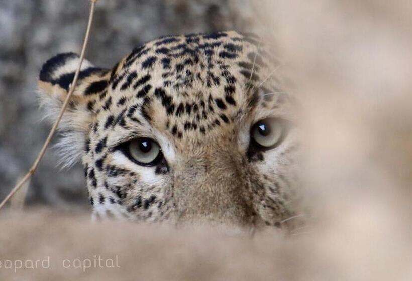 فندق Pride Resort & Convention Center Ranakpur Near Ranakpur Dam