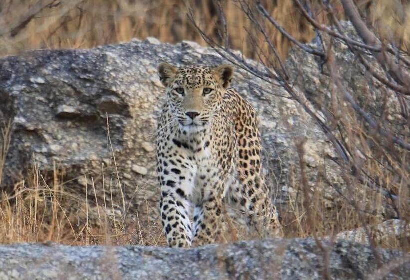 فندق Pride Resort & Convention Center Ranakpur Near Ranakpur Dam