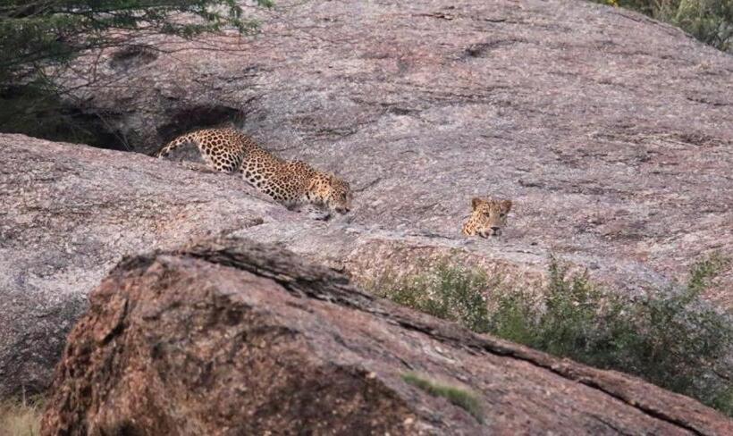 فندق Pride Resort & Convention Center Ranakpur Near Ranakpur Dam