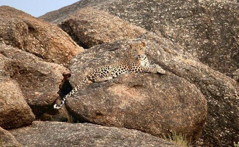 فندق Pride Resort & Convention Center Ranakpur Near Ranakpur Dam