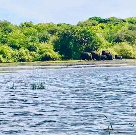 Пансион Attale Restaurant