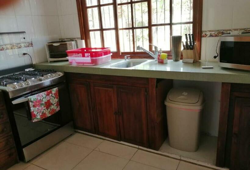 بنسيون Gaia Lodge