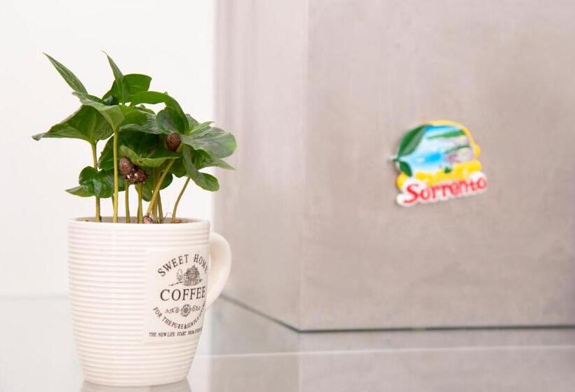 פנסיון Luigi S Panoramic And Economy Room Near Sorrento