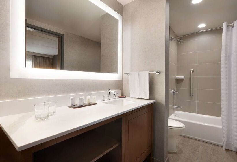 فندق Embassy Suites By Hilton Chicago Naperville