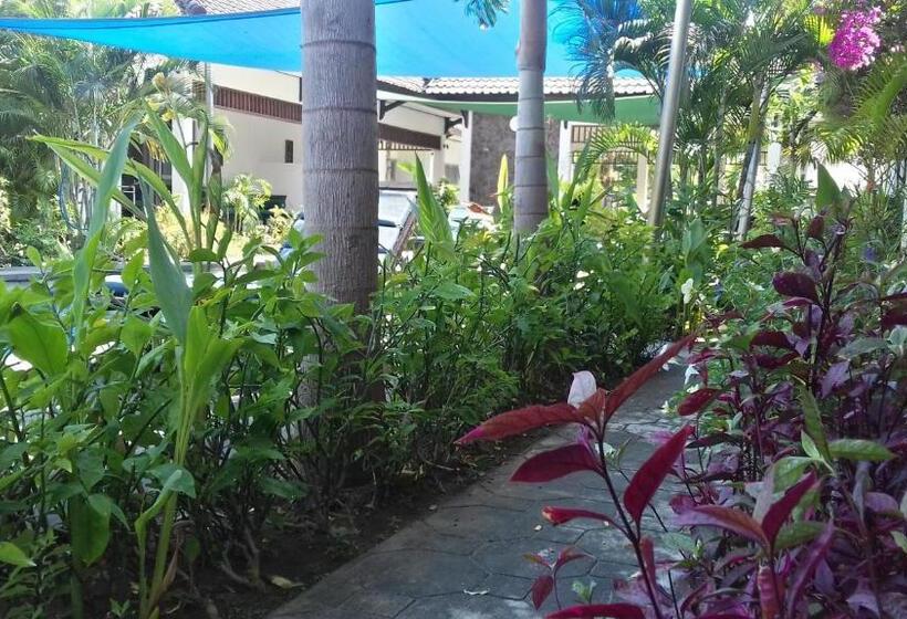 酒店 Gili Palms Resort