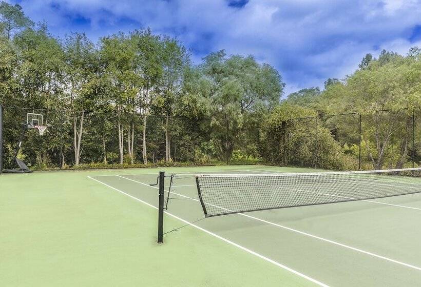 Отель Grand Mercure Basildene Manor