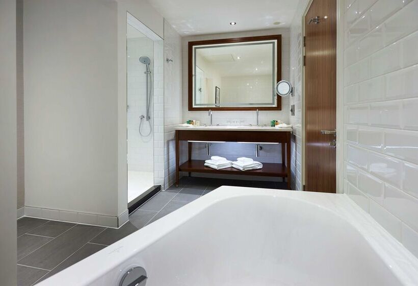 호텔 Hilton Southampton Utilita Bowl