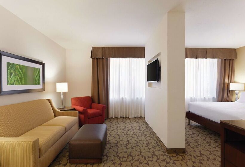 ホテル Hilton Garden Inn Rochester Downtown, Ny