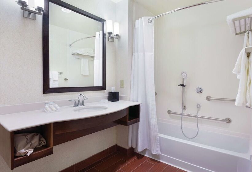 ホテル Hilton Garden Inn Rochester Downtown, Ny