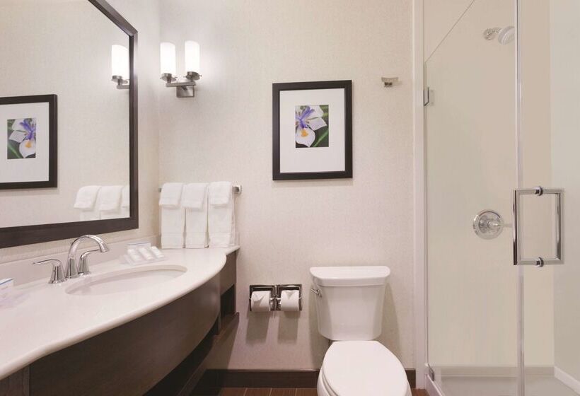 ホテル Hilton Garden Inn Rochester Downtown, Ny