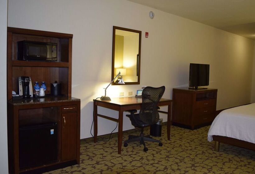 ホテル Hilton Garden Inn Rochester Downtown, Ny