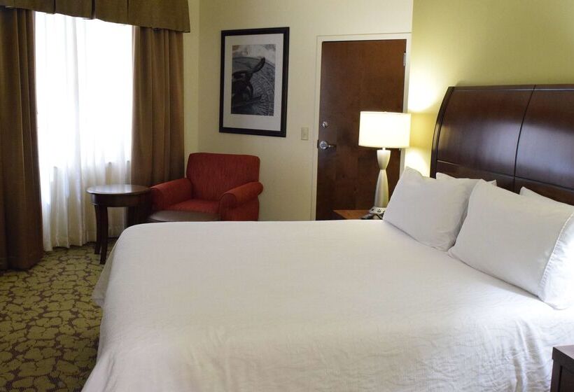 هتل Hilton Garden Inn Rochester Downtown, Ny
