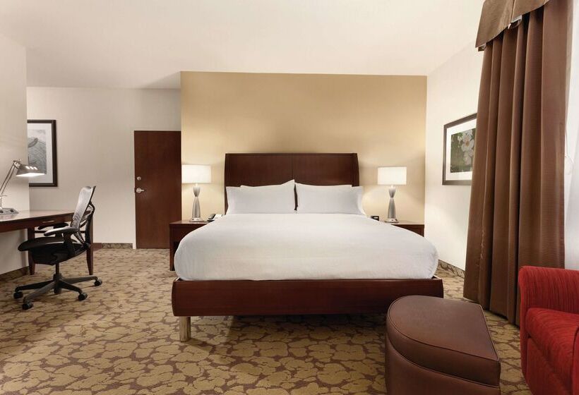 هتل Hilton Garden Inn Rochester Downtown, Ny