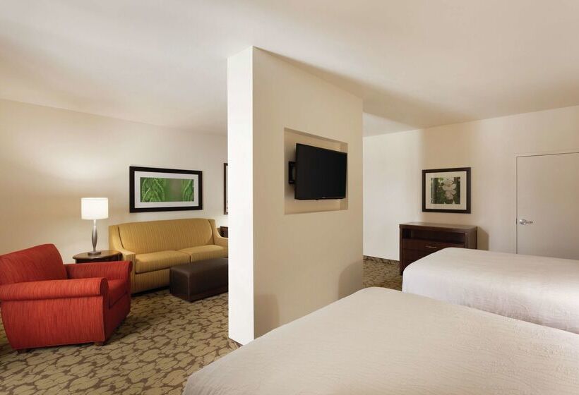 ホテル Hilton Garden Inn Rochester Downtown, Ny