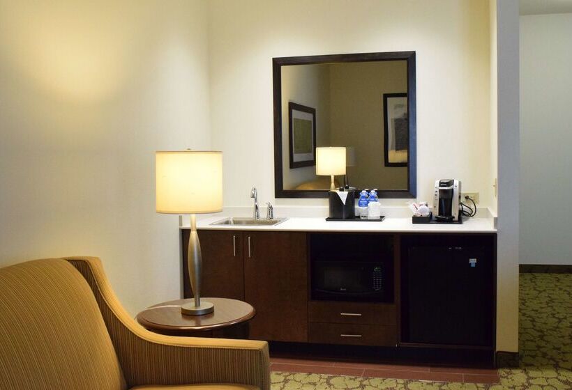 ホテル Hilton Garden Inn Rochester Downtown, Ny