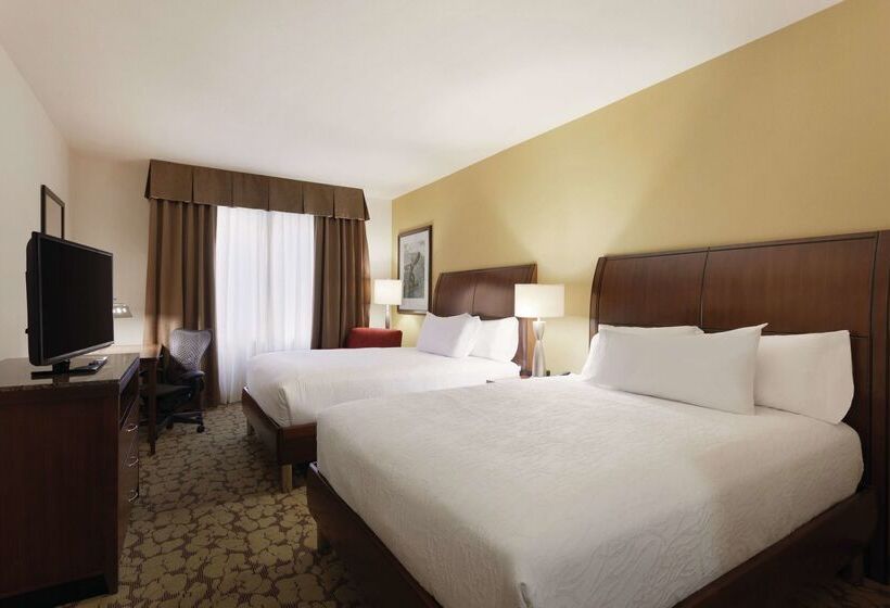 ホテル Hilton Garden Inn Rochester Downtown, Ny