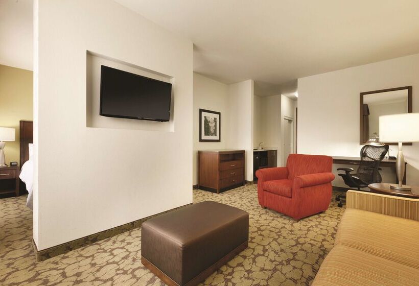 ホテル Hilton Garden Inn Rochester Downtown, Ny