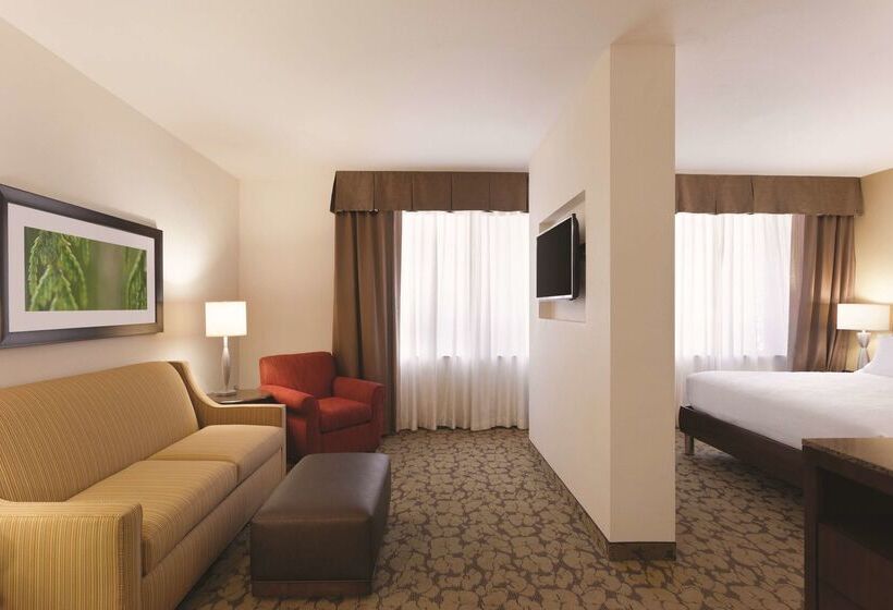 ホテル Hilton Garden Inn Rochester Downtown, Ny